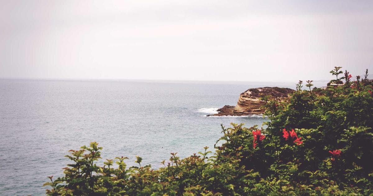 Logo da Meta com visualização de pesos de modelo de linguagem