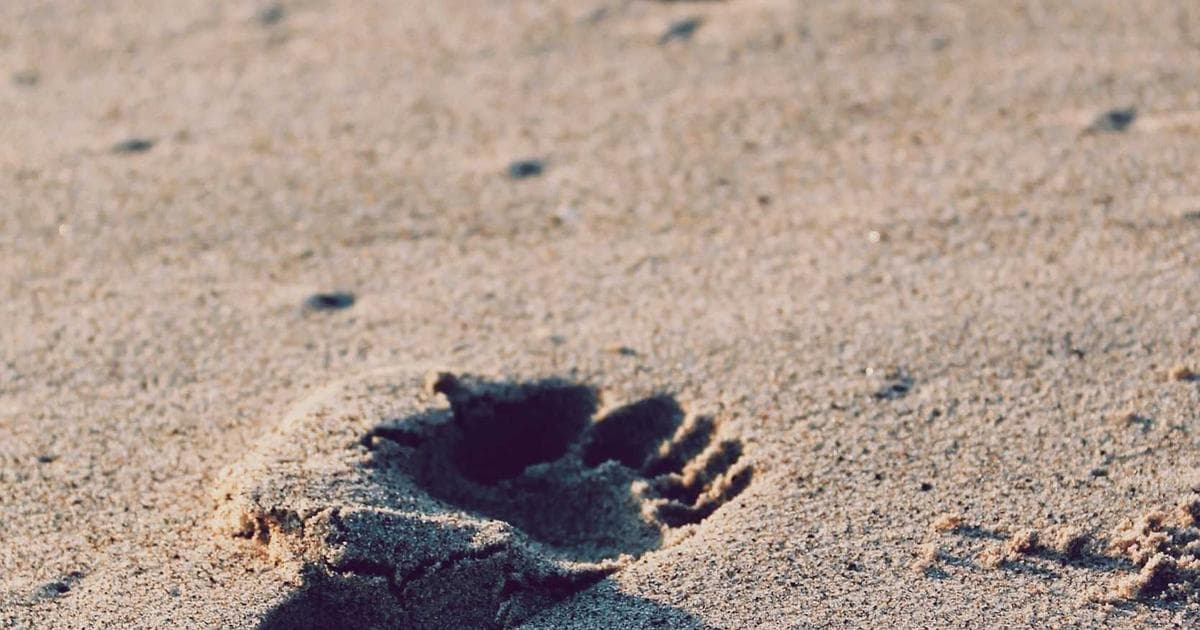 Escritório da Mistral AI em Paris com tela do Le Chat