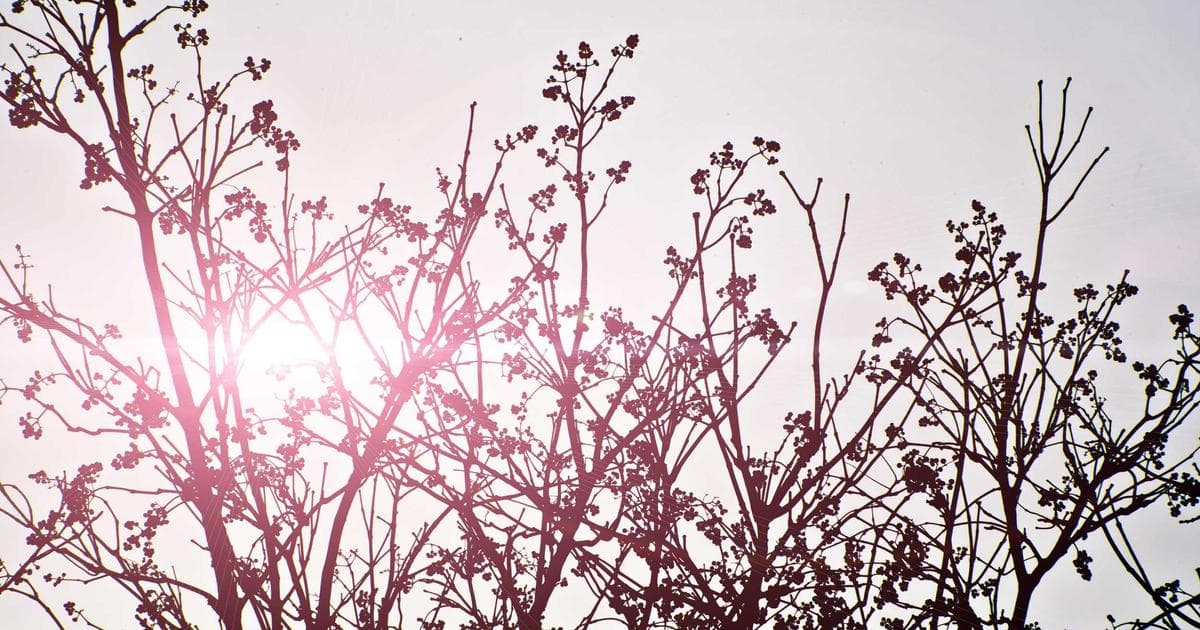 Interface do v0 da Vercel com código sendo gerado